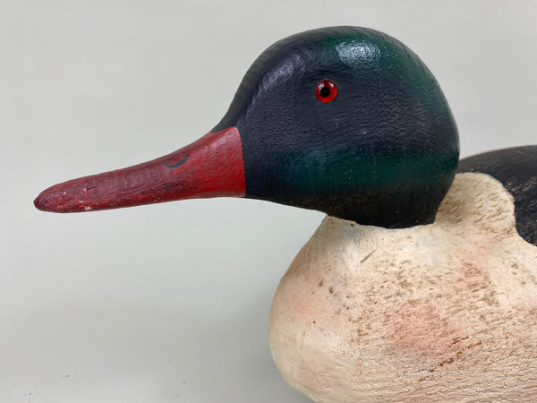 Herters 1893 Series Common Merganser (#6400)