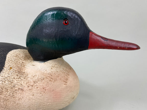 Herters 1893 Series Common Merganser (#6400)