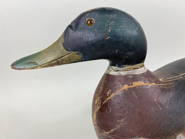 Mason Premier Mallard Drake, Original paint (#6401)