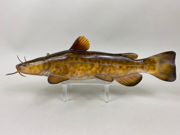 Flathead Catfish, Troy Helget (#6403)