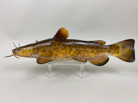 Flathead Catfish, Troy Helget (#6403)