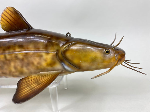 Flathead Catfish, Troy Helget (#6403)