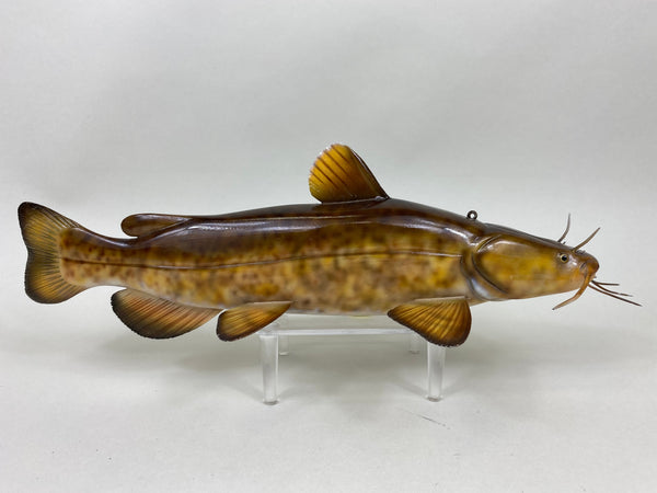 Flathead Catfish, Troy Helget (#6403)