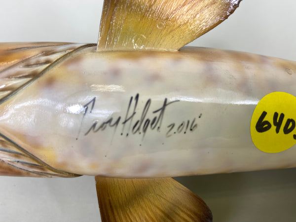 Flathead Catfish, Troy Helget (#6403)