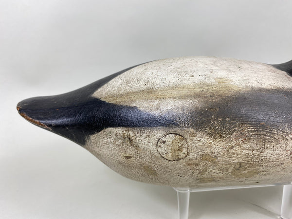 Mason Challenge Grade Canvasback Drake (#6412)