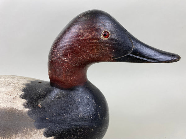 Mason Challenge Grade Canvasback Drake (#6412)