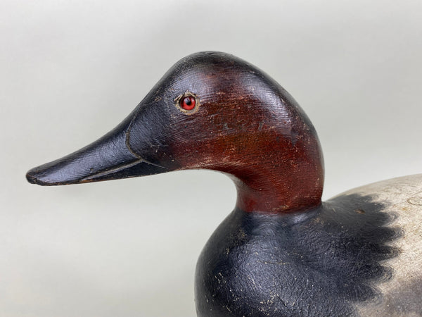 Mason Challenge Grade Canvasback Drake (#6412)