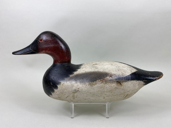 Mason Challenge Grade Canvasback Drake (#6412)
