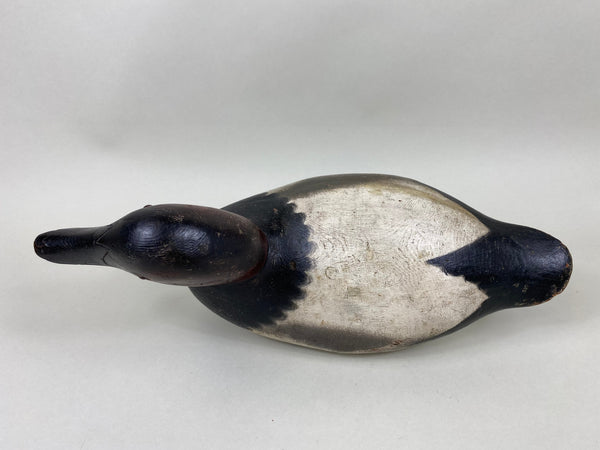 Mason Challenge Grade Canvasback Drake (#6412)