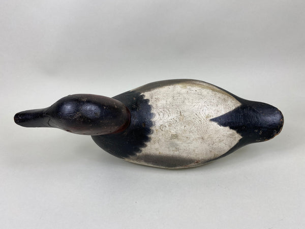 Mason Challenge Grade Canvasback Drake (#6412)