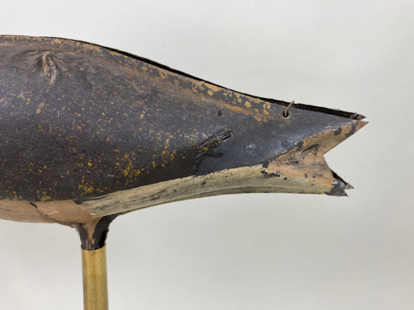 Strater and Sohier Tinnie Shorebird (#6416)