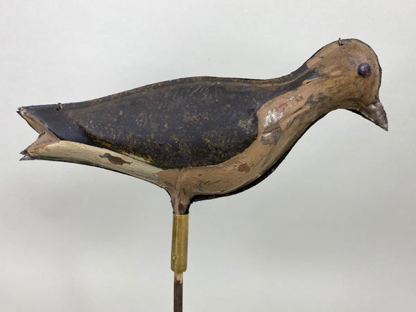 Strater and Sohier Tinnie Shorebird (#6416)