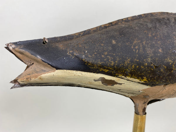 Strater and Sohier Tinnie Shorebird (#6416)