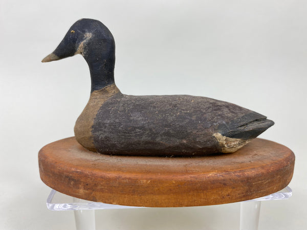 Miniature Canada Goose (#6431)