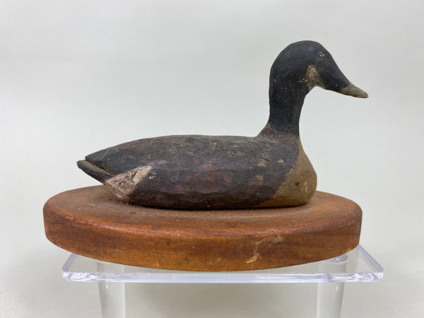 Miniature Canada Goose (#6431)