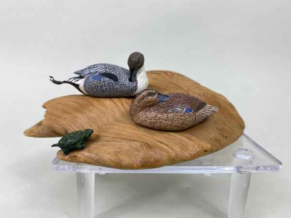 Wendell Sherman Miniature Pintails with Turtle (#6432)