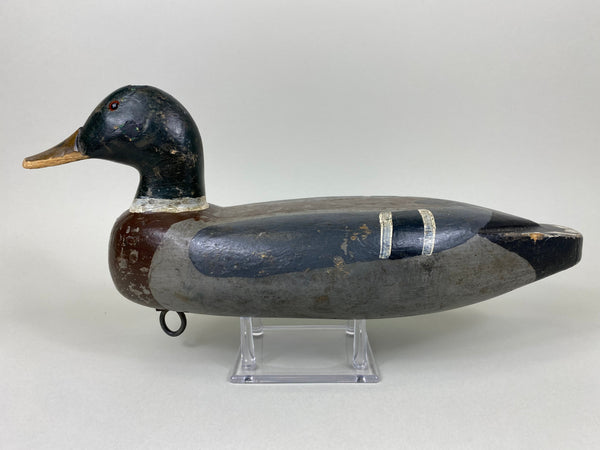 Fred McIntyre Mallard Drake, Circa 1940's (#6445)