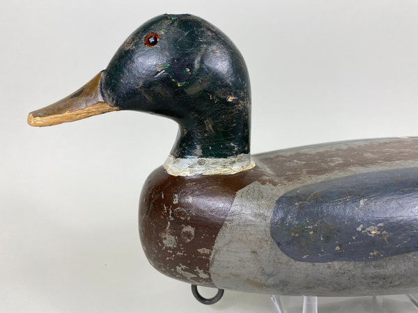 Fred McIntyre Mallard Drake, Circa 1940's (#6445)