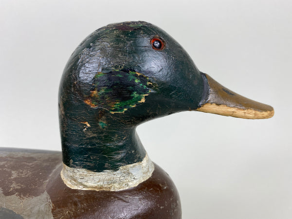 Fred McIntyre Mallard Drake, Circa 1940's (#6445)