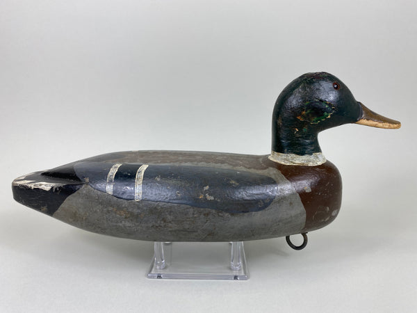 Fred McIntyre Mallard Drake, Circa 1940's (#6445)