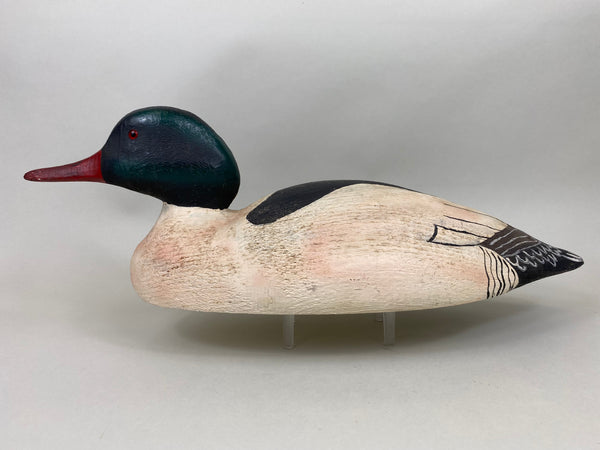 Herters 1893 Series Common Merganser (#6400)