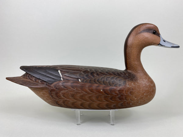 Ron Sabatini Hen Pintail (#6466)