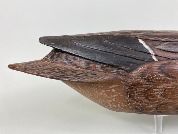 Ron Sabatini Hen Pintail (#6466)