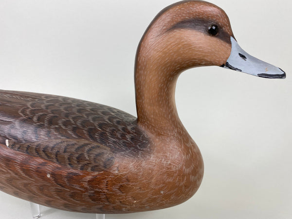 Ron Sabatini Hen Pintail (#6466)