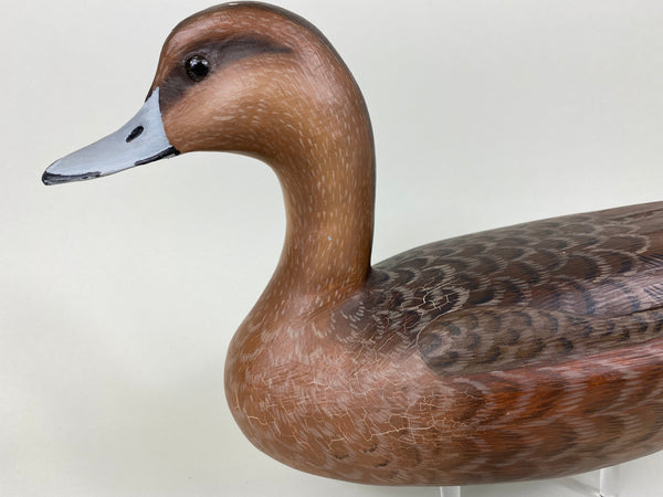 Ron Sabatini Hen Pintail (#6466)