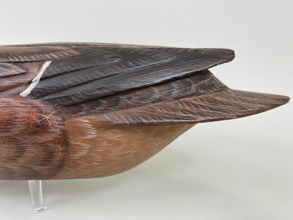 Ron Sabatini Hen Pintail (#6466)