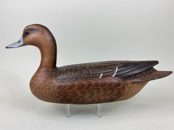 Ron Sabatini Hen Pintail (#6466)