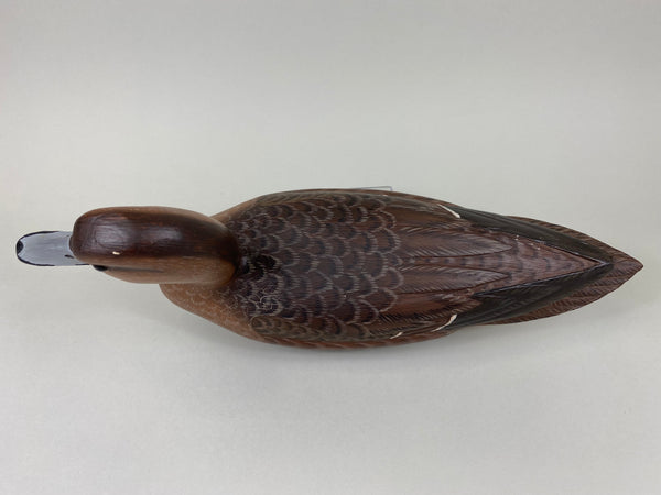 Ron Sabatini Hen Pintail (#6466)