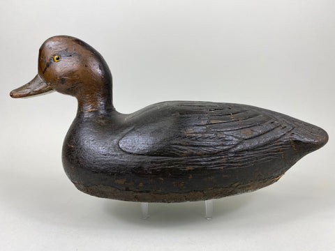 Pacquette Family Decoy repainted as Black Duck , Circa 1920's (#6467)