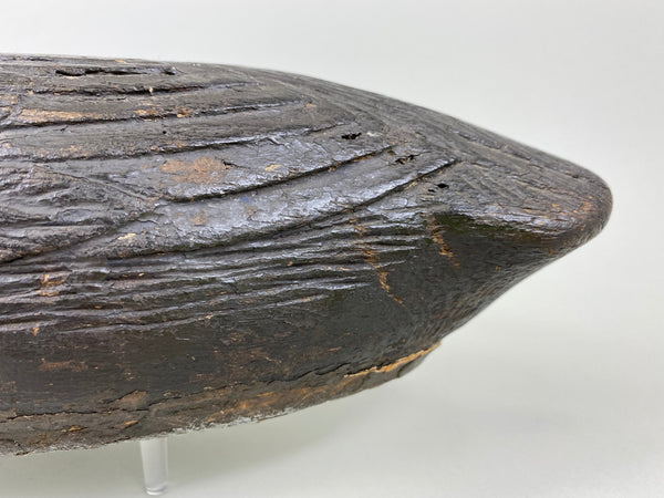 Pacquette Family Decoy repainted as Black Duck , Circa 1920's (#6467)