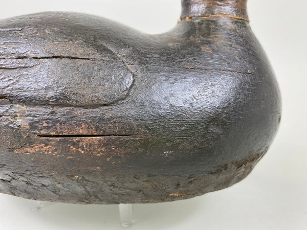 Pacquette Family Decoy repainted as Black Duck , Circa 1920's (#6467)