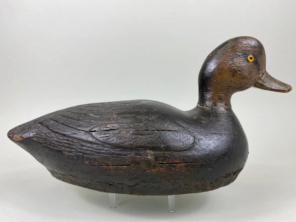 Pacquette Family Decoy repainted as Black Duck , Circa 1920's (#6467)