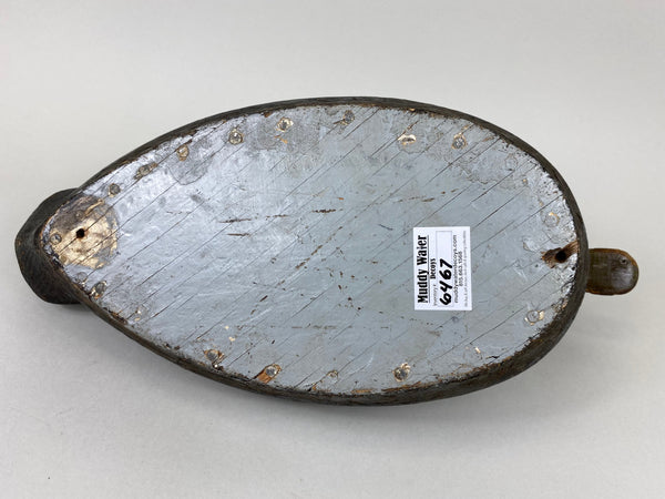 Pacquette Family Decoy repainted as Black Duck , Circa 1920's (#6467)