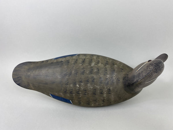 Hurley Conklin Hen Wood Duck (#6473)