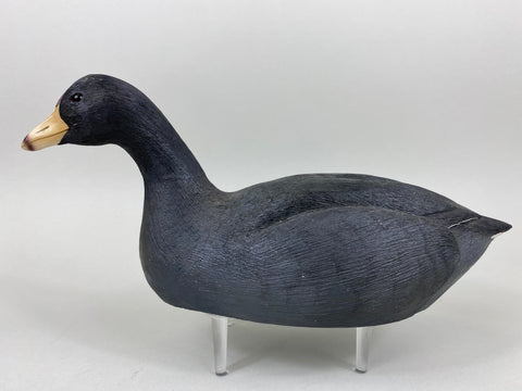 Bob Barry Mudhen - Coot (#6476)