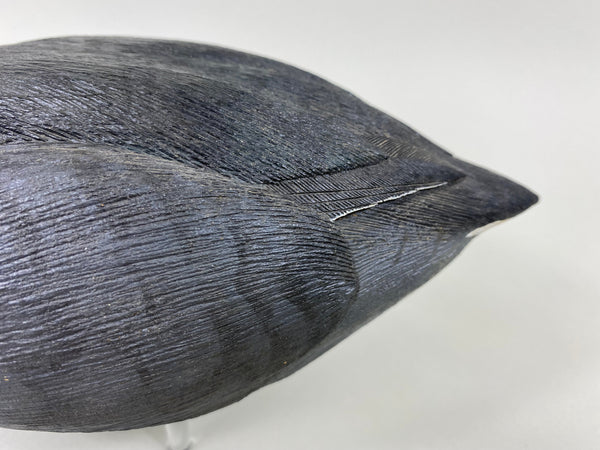 Bob Barry Mudhen - Coot (#6476)