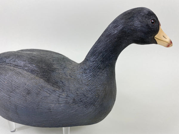 Bob Barry Mudhen - Coot (#6476)