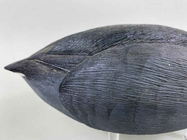 Bob Barry Mudhen - Coot (#6476)