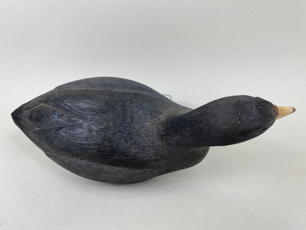 Bob Barry Mudhen - Coot (#6476)