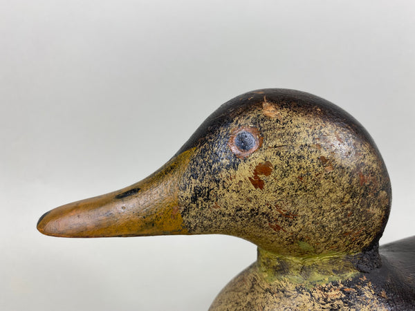 Mason Painted Eye Mallard Hen, Original Paint (#6483)