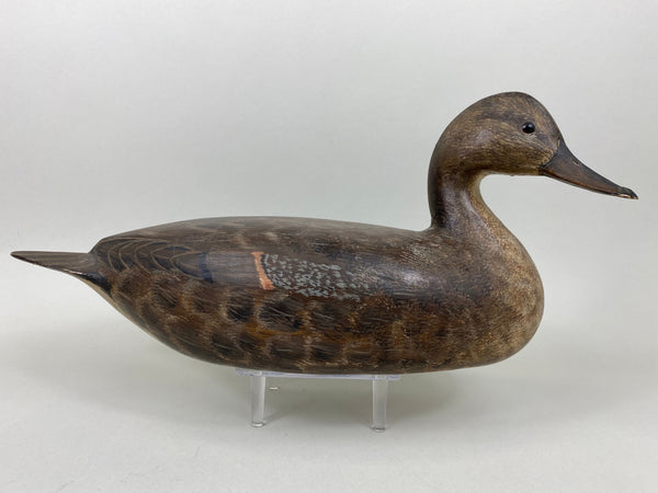 Torry Ward Pintail Hen, Original Paint (#6493)