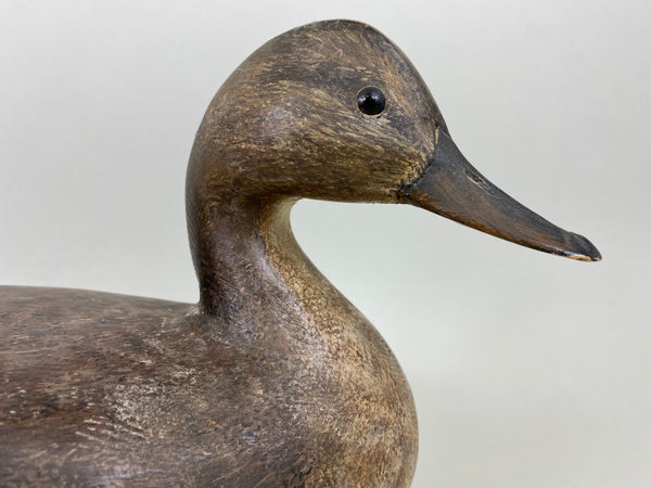 Torry Ward Pintail Hen, Original Paint (#6493)