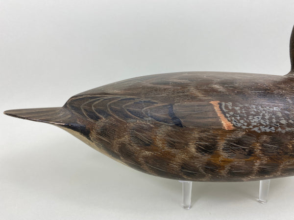 Torry Ward Pintail Hen, Original Paint (#6493)