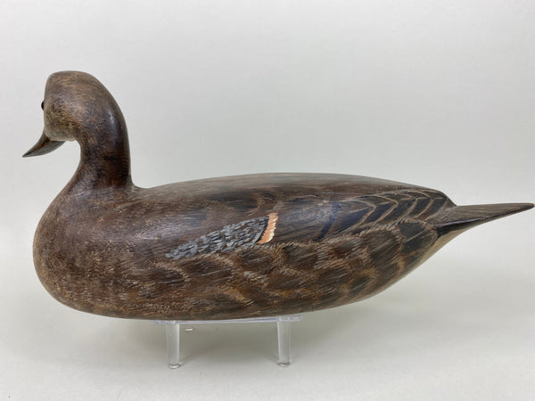 Torry Ward Pintail Hen, Original Paint (#6493)