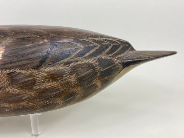 Torry Ward Pintail Hen, Original Paint (#6493)