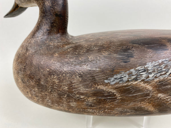 Torry Ward Pintail Hen, Original Paint (#6493)
